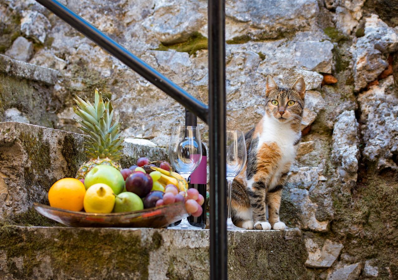 Villa Perris Studios Kassiopi Buitenkant foto